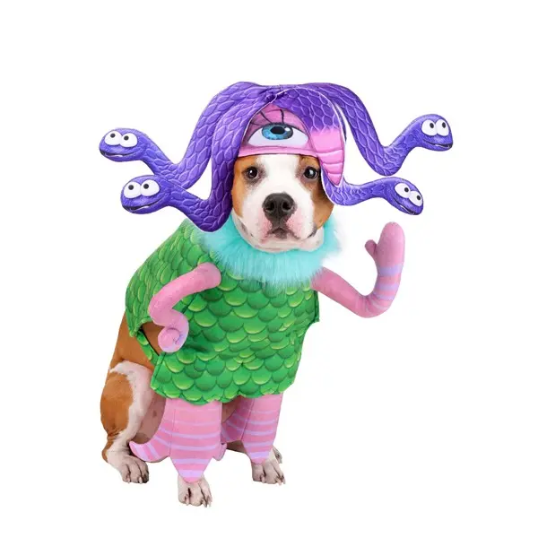 Disney Pixar Monsters Inc Celia Pet Costume (© Disney) (© Disney/Pixar)