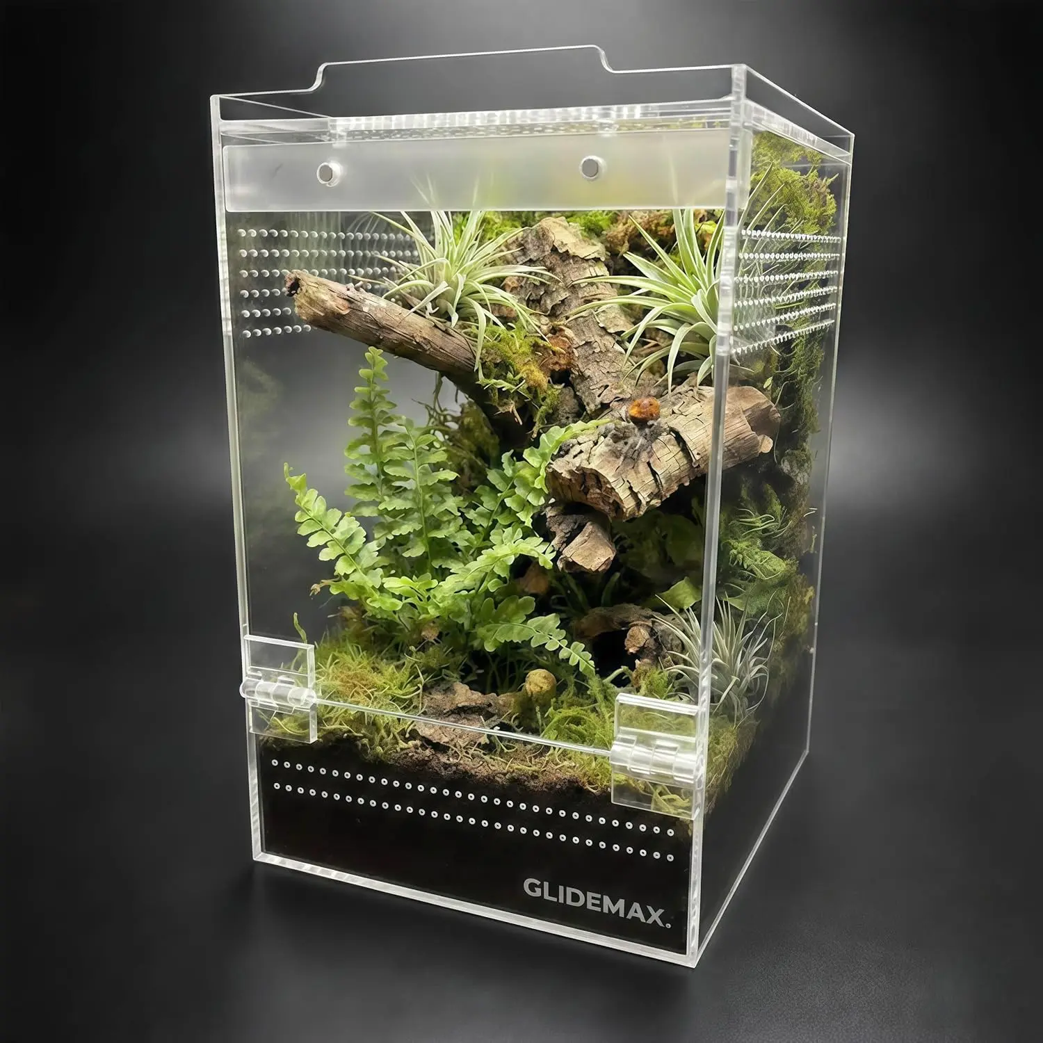 Rectangle Acrylic Spider & Tarantula Enclosure - [xx] Inch Pre-Assembled Terrarium with Magnetic Doors, Reptile Habitat for Gecko, Mantis, Hatchlings (Pet Supplies)