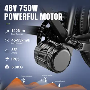 TSE TONGSHENG TSDZ8 48V 750W Torque Sensing Mid Drive Motor Conversion Kits