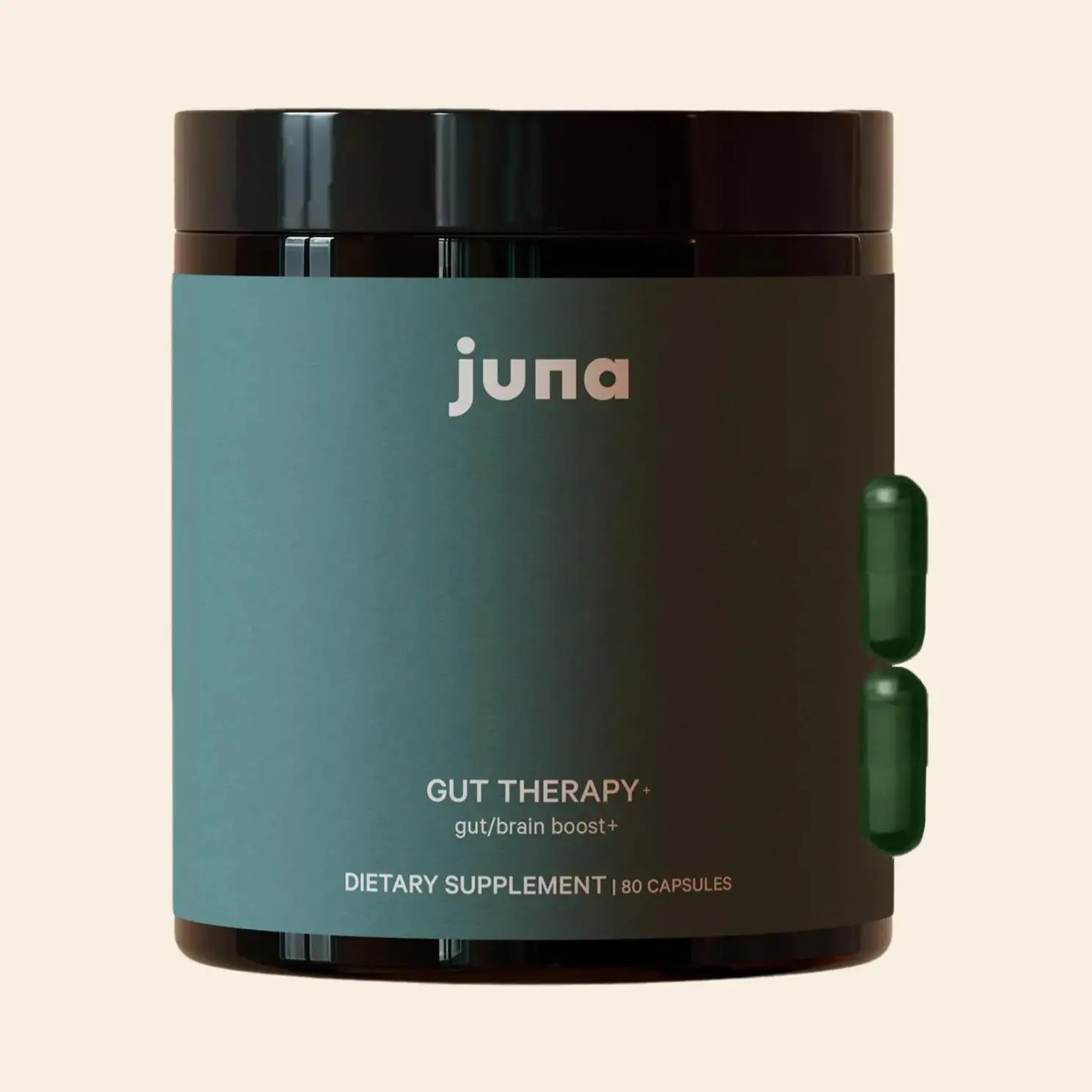 Gut Therapy Advanced Gut/Brain Supplement - Boosts Microbiome, Memory, Focus, and Mood - Healthcare Dietary Product for Wellness and Fitness