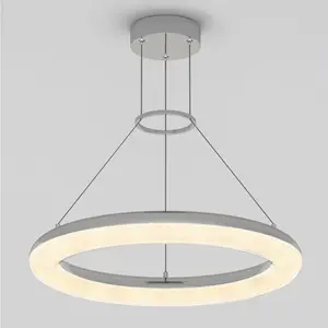 Famous Optical LED pendant light 5 CCT
