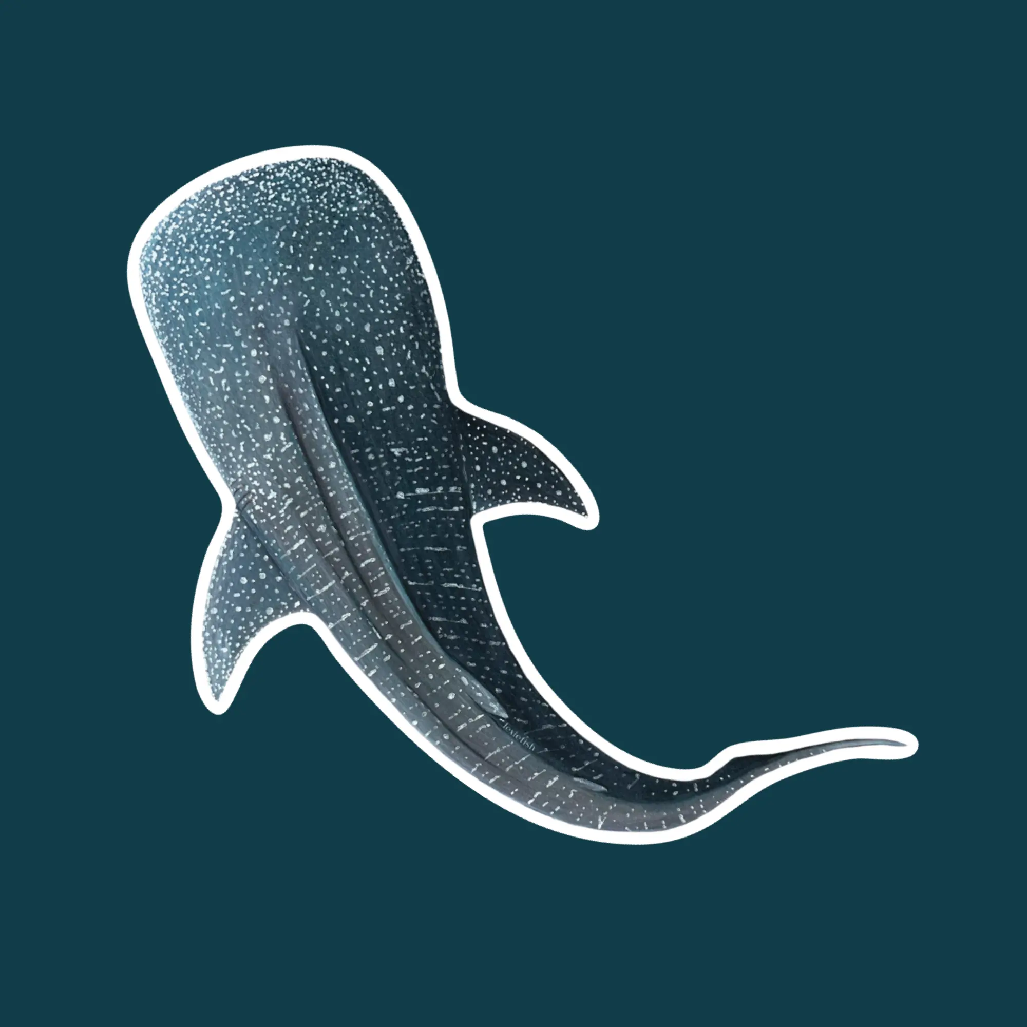 Whale Shark