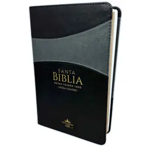 Biblia Letra Grande 12 puntos RV1960 imit duotono negro y gris