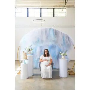 Cloud 9 Semi Circle Tulle Backdrop