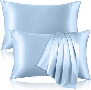 2 Pack  Pure Silk Pillowcase for Hair and , Both Sides Mulberry Silk Pillowcases with  Zipper, Cooling Pillowcase 19 Momme, 600 Thread Silk Pillow Cases  Size, Light Blue
