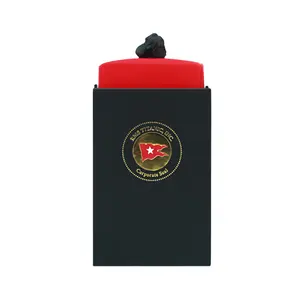 Authentic Titanic Coal in Case