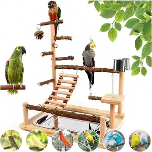 Colourtree Bird Playground with Feeder Cups Wooden Parrot Play Stand for Cockatiel Parakeet Parrot Perch Stand with Removable Tray 2 Stainless Steel Cups Safe Natural Wood Material Easy to Install