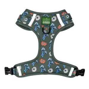 Lucy & Co. x Parks Project Power to the Parks No-Pull Harness