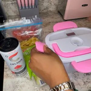 heating  lunch  box