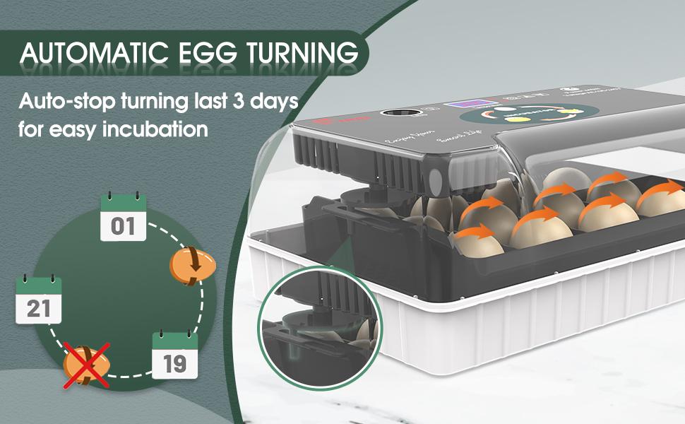 Egg Incubator for Hatching Chicks, Automatic Egg Turner Holds 12 Eggs