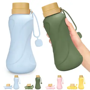 Collapsible Silicone Water Bottles - 2pcs 22oz Leakproof BPA-Free, Portable with Lids & Straps, Ideal for Gym, Travel, School, Camping, Hiking  Containers Drinkware