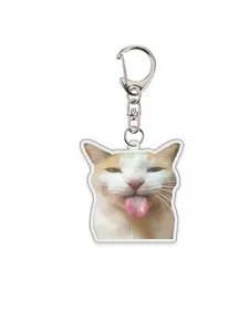 Pet Keychain Cat Photo Acrylic Pendant, 1pc/4pcs Accessories for Backpacks & Bags, Ideal for School Letters & Personalized Gifts