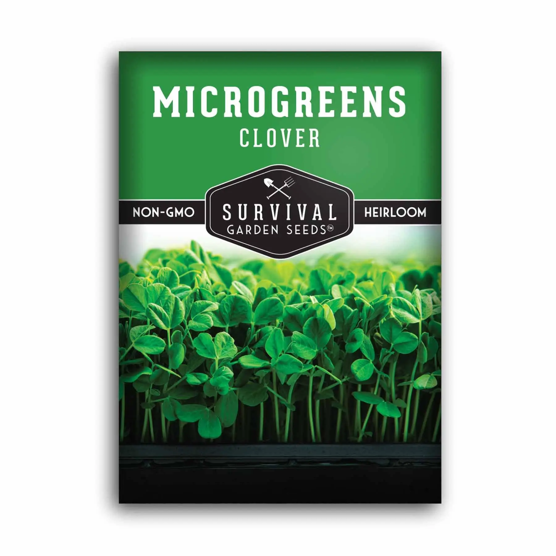 Clover Microgreen Seeds - Grow Your Own Healthy Greens Clover Microgreen Seeds - Grow Your Own Healthy Greens