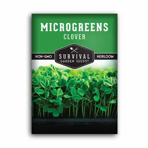 Clover Microgreen Seeds - Grow Your Own Healthy Greens Clover Microgreen Seeds - Grow Your Own Healthy Greens