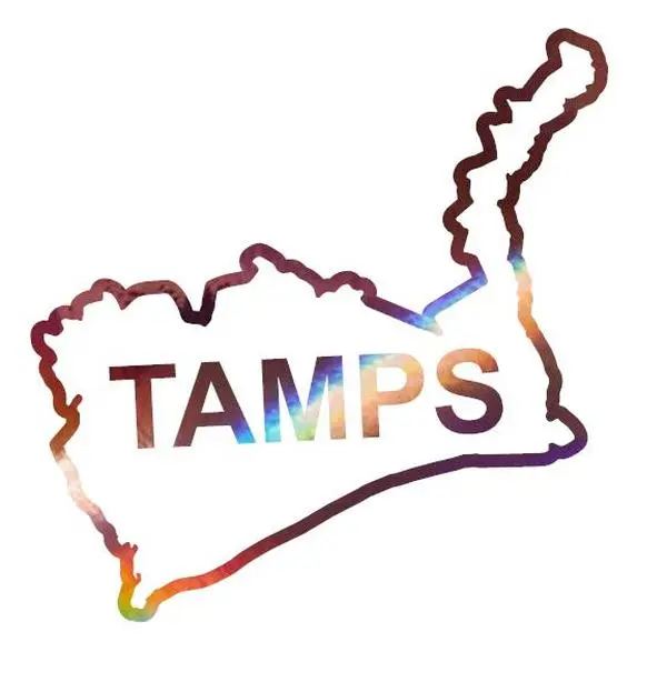 Mexican State Map Outline Tamaulipas Vinyl Decal Sticker UV & Waterproof Bumper Window Laptop Automotive Water Bottle Gift accessories – ROSE GOLD HOLO 6.5"