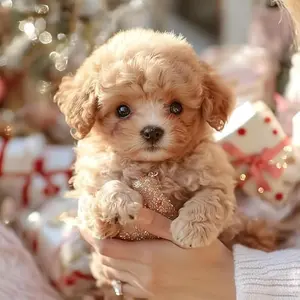 2025 New Robot Dog, Robot Puppy That Acts Like A Real Puppy - Walking, Barking, Tail Wagging,Battery not included