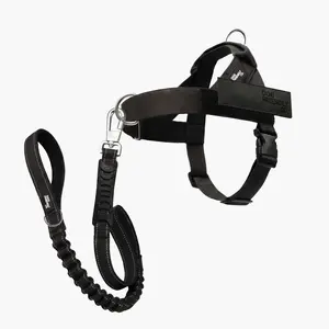 Dog Friendly Co. Harness + No-Pull D-ring + Bungee Leash
