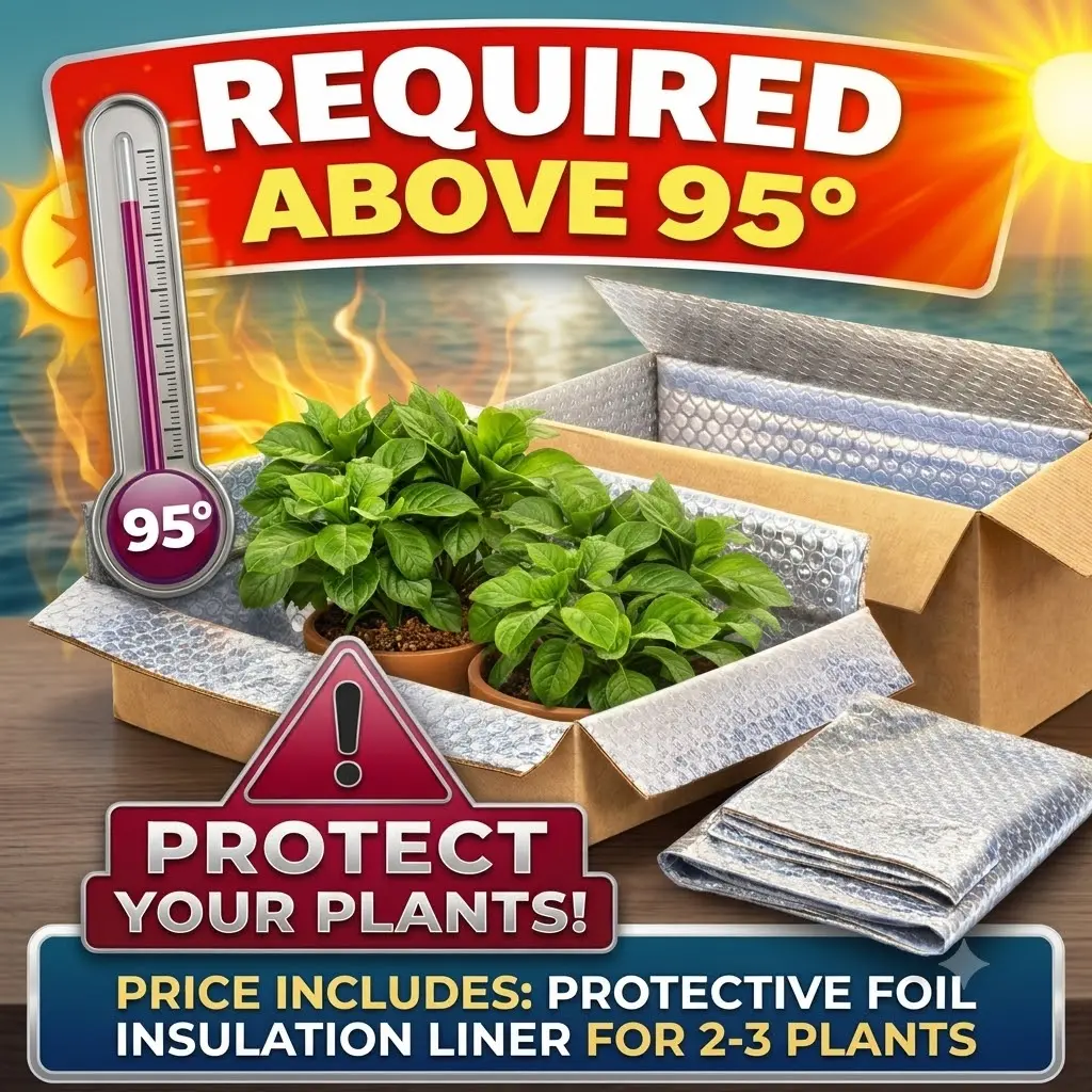 ADD ON: Summer Box Insulation (95°+) Liner to Prevent Heat Damage | Add-On Per 2-3 Plants