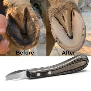 Wooden Handle Ringed Horseshoe Knife, Traditional Design, Durable Wood Material, Ideal for Collectors & Display, Stainless Steel Knives