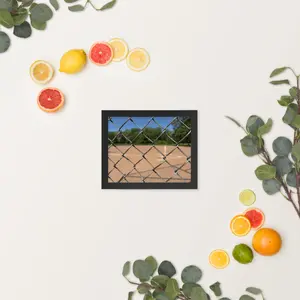 Baseball Cage Framed poster