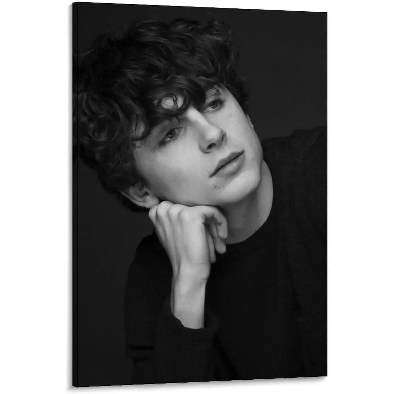 Timothée Chalamet Poster Retro Star Painting On Canvas Wall Art Poster Scroll Picture Print Living Room Walls Decor Home Posters