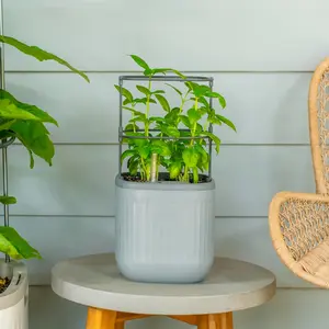 Mini Planter Indoor Pots with Trellis Self-Watering Herb Countertop Planter for Climbing Vegetables Flowers Mint Plants Cage- Fog Gray