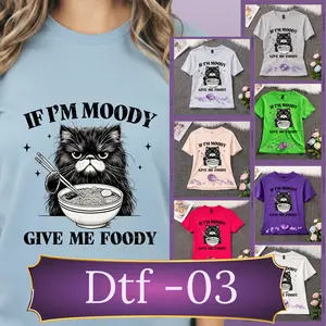 Kawaii Ramen Cat DTF Transfer 12x12 Ready to Press Japanese Noodle Print