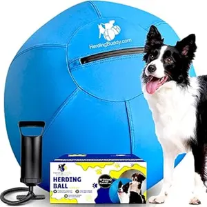 Durable Herding Ball for Dogs – 18'' Training Toy for Corgis, Collies & Active Herding Breeds – Anti-Burst Ball + Heavy Duty Cover + Foot Pump, Medium Herding Dog Training Ball