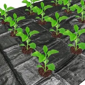 Breathable Garden Weed Control Barrier Mat, High-Quality Plastic Cover, Ideal for Vegetable Gardens, Greenhouses & Agriculture Landscapes