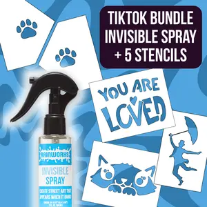 TikTok Bundle - Rainworks Invisible Spray with 5 Stencils