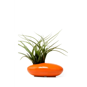 Pebble Ceramic Ikebana Kenzan Container