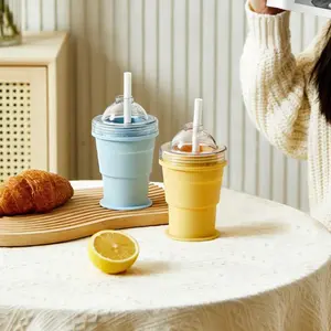 2-in-1 Ice Mold Cup & Collapsible Water Bottle | Food Grade Silicone Ice Ball Maker for Cold Drinks