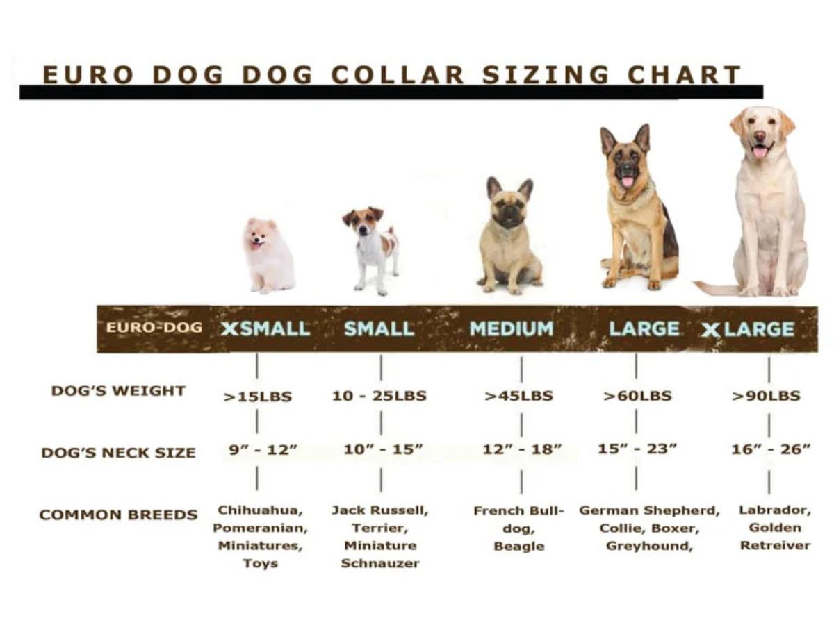 Euro Dog | Traditional Leather Dog Collar with American Leather & European Steel for Training & Comfort Earth Brown Khaki Midnight Black Chocolate Blue Jeans Coral Reef Flat Collar with Stainless Steel Buckle