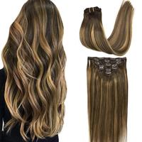 #4/27/4 Balayage Chocolate Brown to Caramel Blonde