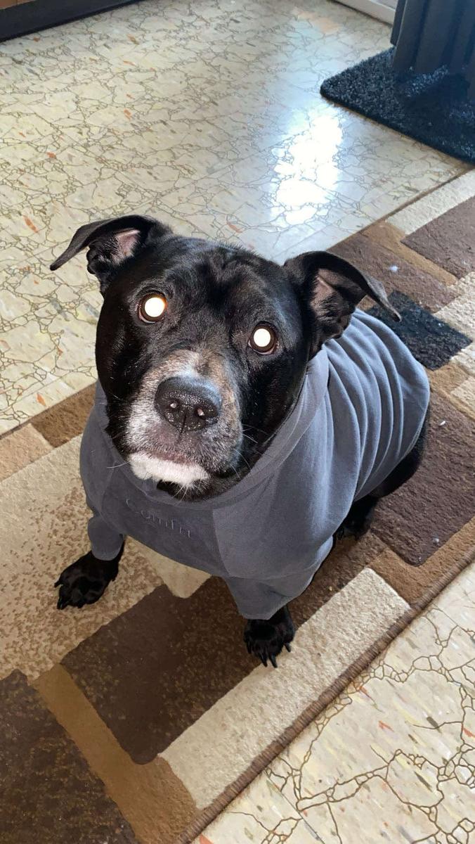 Item: Steel Grey, 2X