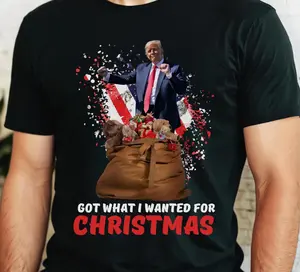 Trump Won Shirt, Trump 2024 Shirt, Trump Christmas 24 Shirt, President Trump, Republican Shirt, Donald Trump Shirt, Trump Supporter Shirt