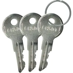 Ignition Keys for Truck Tool Box Lock RV Trailer Boats (3 Pack)