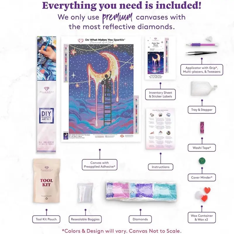 Diamond Art Club Premium Canvas Kit with Reflective Diamonds Tool Kit Pouch Resealable Baggies Instructions