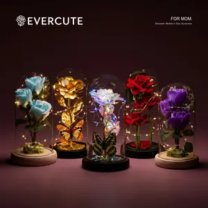 Evercute Beauty and the Beast Glass Dome Artificial Flower – LED Rose & Butterfly. Luxury Home Desk/Shelf Decor. Birthday & Anniversary Gift. TikTok Viral, Instagram Prop. For Valentine's, Christmas, Mother's Day.