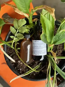 Traditional Castor Oil, Castor Oil Pack, Organic Body Care, Organic Body Oil,