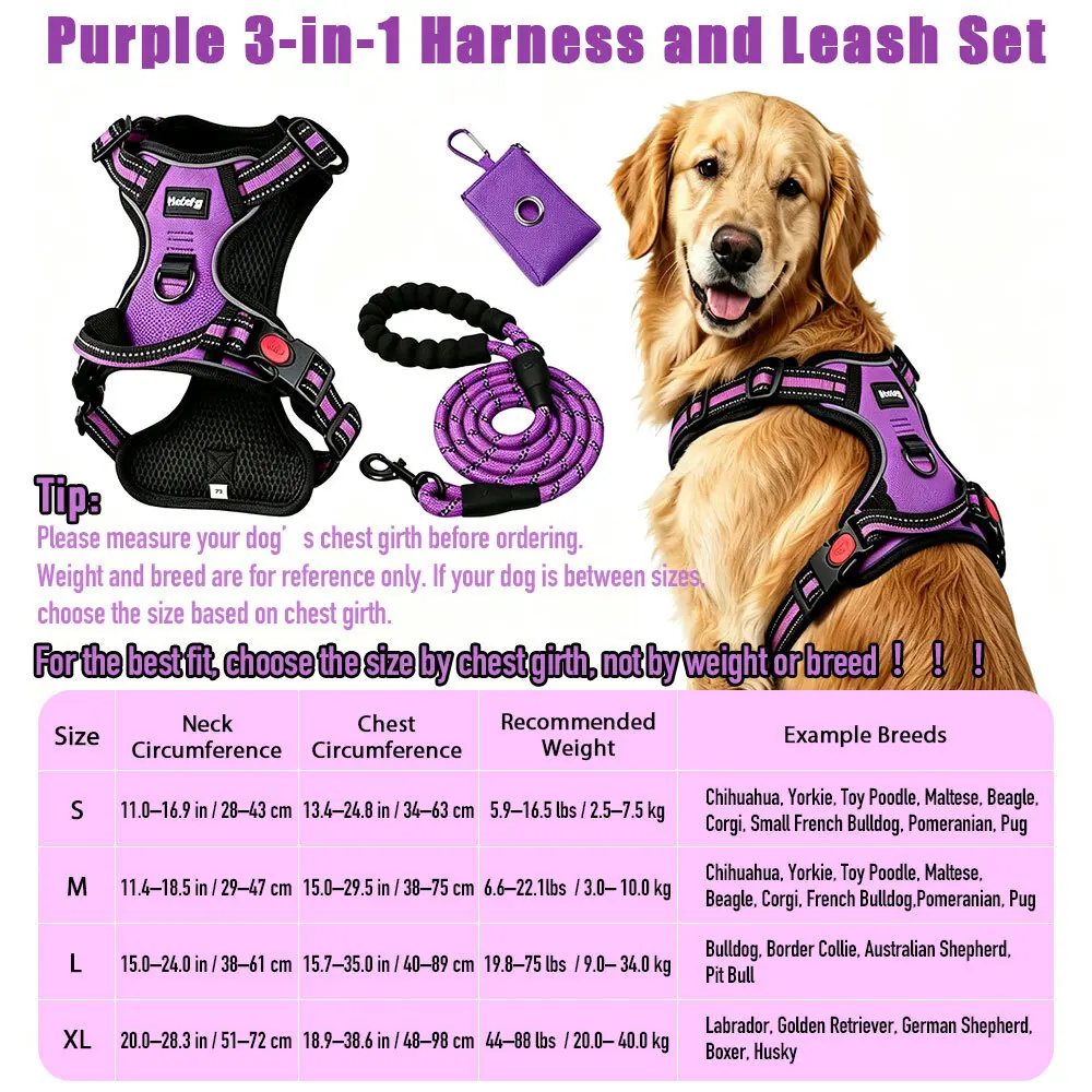 New three-piece set in purple6