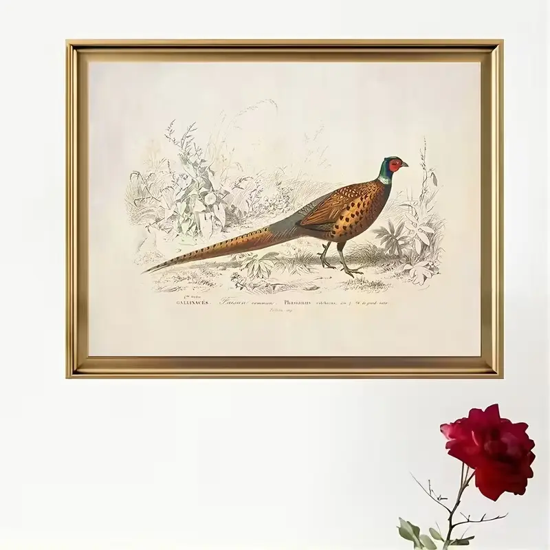 NO FRAME - Vintage Pheasant Bird Poster, Antique Scientific Wildlife Print, Retro Game Bird Wall Decor, Neutral Aesthetic Art