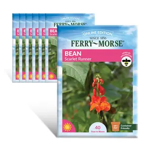 Ferry-Morse Online Edition Bean Scarlet Runner Seed Multipack - 7 Pack