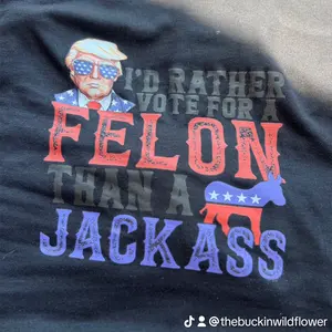I’D Rather Vote for a Felon Women’s Tank