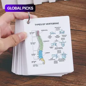 Anatomical Study Flashcards with Front and Back Views, Skeletal System Diagrams and Vocabulary Cards, Medical Learning Guide for Students, Doctors and Nurses, Nursing Flashcards #GLOBAL PICKS