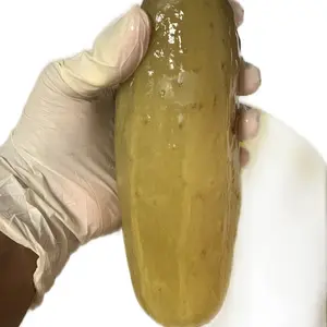 Hill's Yum Yum Shop Sour, dill, sour &hot, kosher, & hot pickles  authentic flavor crunchy snack