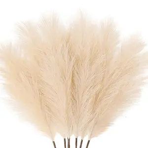 6-Pcs 39.3-inch Faux Black Pampas Grass Large Tall Fluffy Artificial Fake Flower for Black Bathroom Decor Boho Decor for Floor Vase Filler Farmhouse Home Wedding Decorations (Beige) Home Decor Accessory