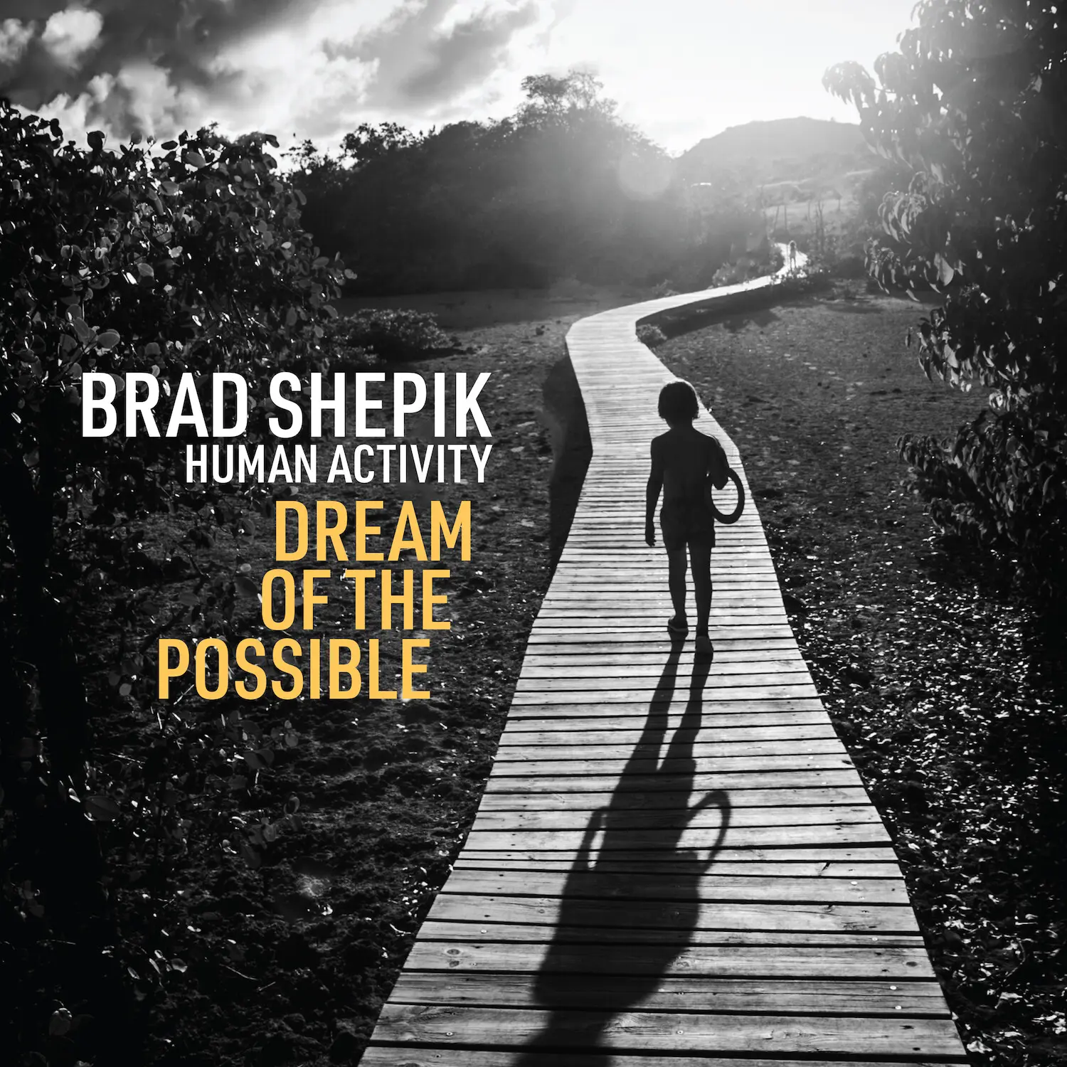 Brad Shepik - Human Activity: Dream of the Possible  [COMPACT DISC - CD]