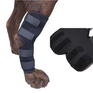 Dog Leg Brace Support -Injury Recovery wrap for Join Pain &Protection