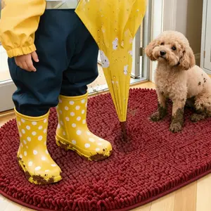 Door Mat, Absorbs Moisture and Dirt, Absorbent Non-Slip Washable Doormat, Quick Dry Oval Chenille Mud Mat for Dogs, Entry Indoor Entryway Carpet for Inside Floor